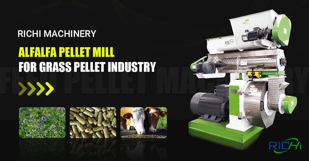 Cattle Feed Pellet Making Machine